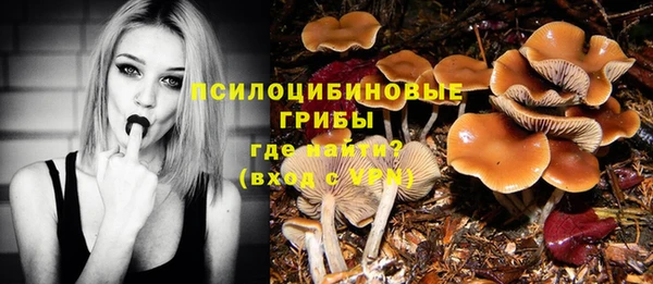 прущая мука Армянск